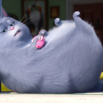 Chloe The Secret Life Of Pets Wiki Fandom