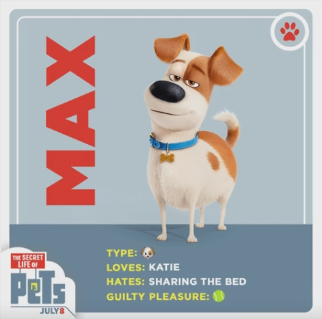 Pets Movie Pops Type Of Dog Pets Movie Pops Type Of Dog