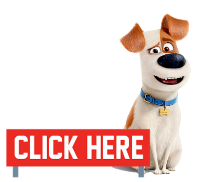 Max | The Secret Life of Pets Wiki | FANDOM powered by Wikia