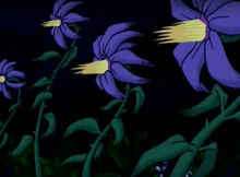 Plants
