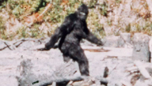 Bigfoot-0