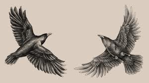huginn and muninn the