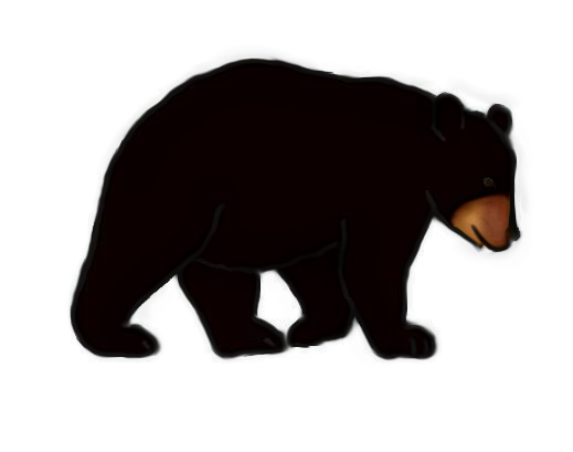 filebear outline1png