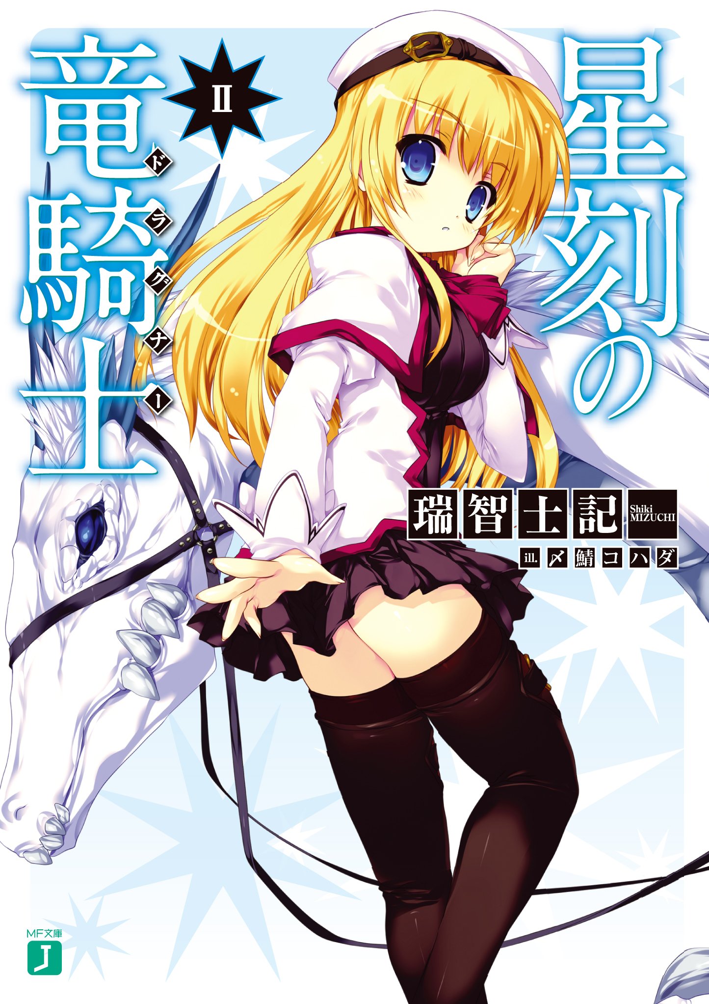 Seikoku No Ryuu Kishi Light Novel English