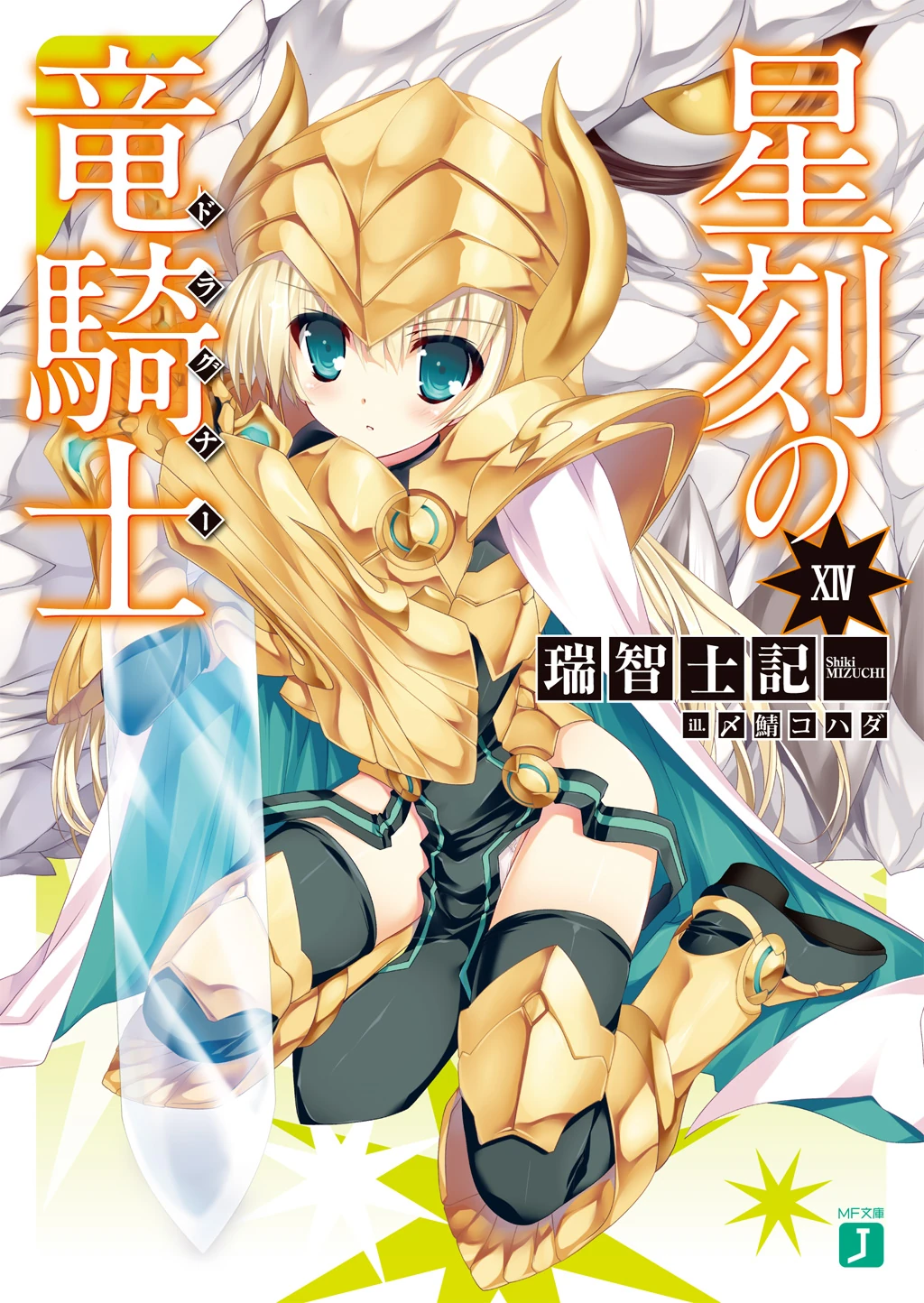 Seikoku no Dragonar (Novel Volume 14) Seikoku no Dragnar Wiki