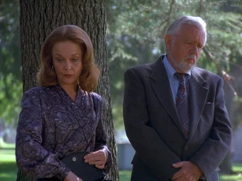 Mr And Mrs Ross Wikisein Fandom