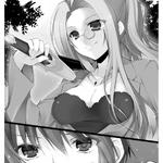 Bladedance Of Elementalers Light Novel Volume 08 Seirei Tsukai