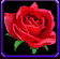 Seiya 2015-01-16 10-54-28-5544