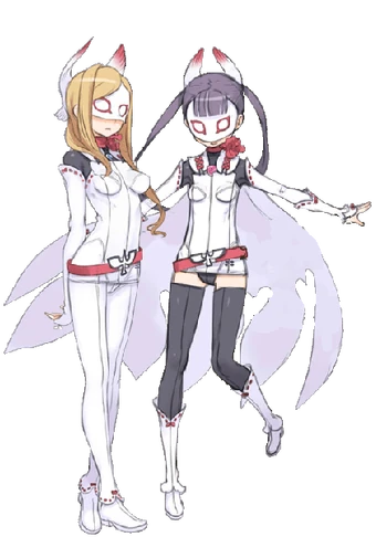Download Robin White And White Eaglet Sekai Seifuku Bouryaku No Zvezda For Android Free Get Wallpaper Robin White And White Eaglet Sekai Seifuku Bouryaku No Zvezda Free HD