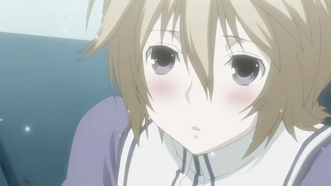 kuno sekirei kuno sekirei