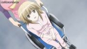 Chiho rollstuhl