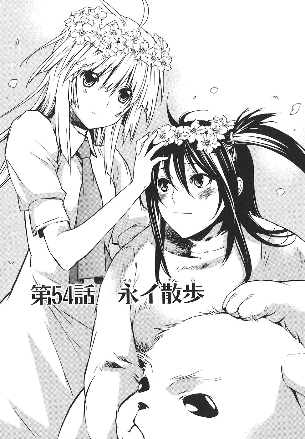 sekirei wiki