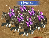 Elite Cavalry
