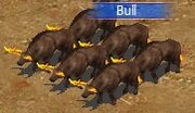 Raging Bulls
