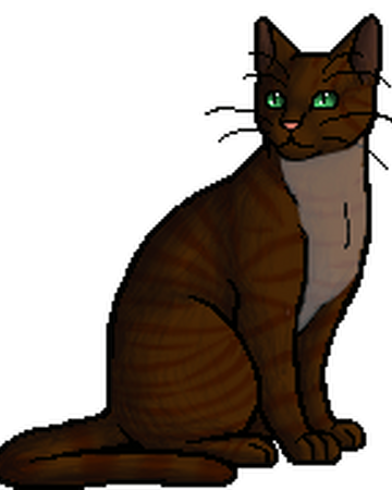 Wrenfeather Seri Pixel Biologist Warriors Untold Tales Wiki Fandom