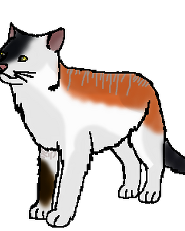 Stonepool Seri Pixel Biologist Warriors Wikia Fandom