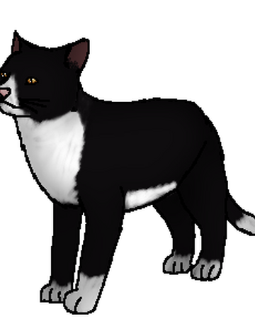 Crowfeather Seri Pixel Biologist Warriors Wikia Fandom
