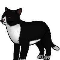 Crowfeather Seri Pixel Biologist Warriors Wikia Fandom