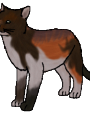 Wildfang Seri Pixel Biologist Warriors Wikia Fandom