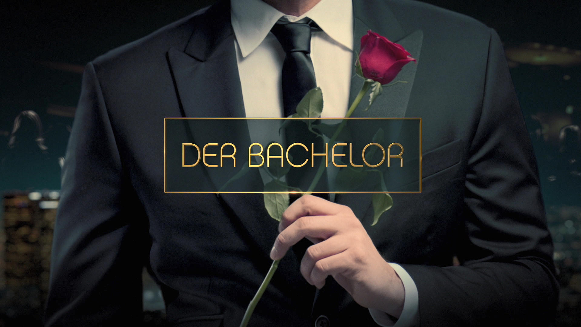 Der Bachelor | Serien Wiki | Fandom