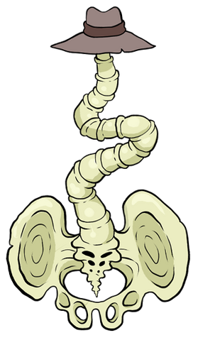 File:Spine.png
