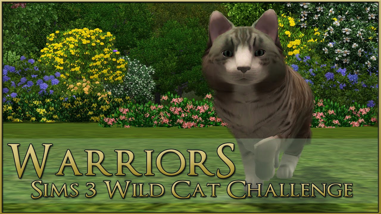 warriors cats the game