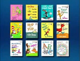 Beginner Book Video Display
