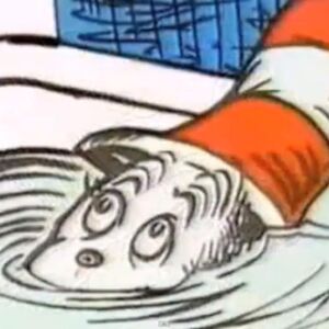 The Cat In The Hat Comes Back Dr Seuss Wiki Fandom