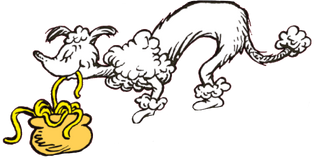 Poodle eating noodles