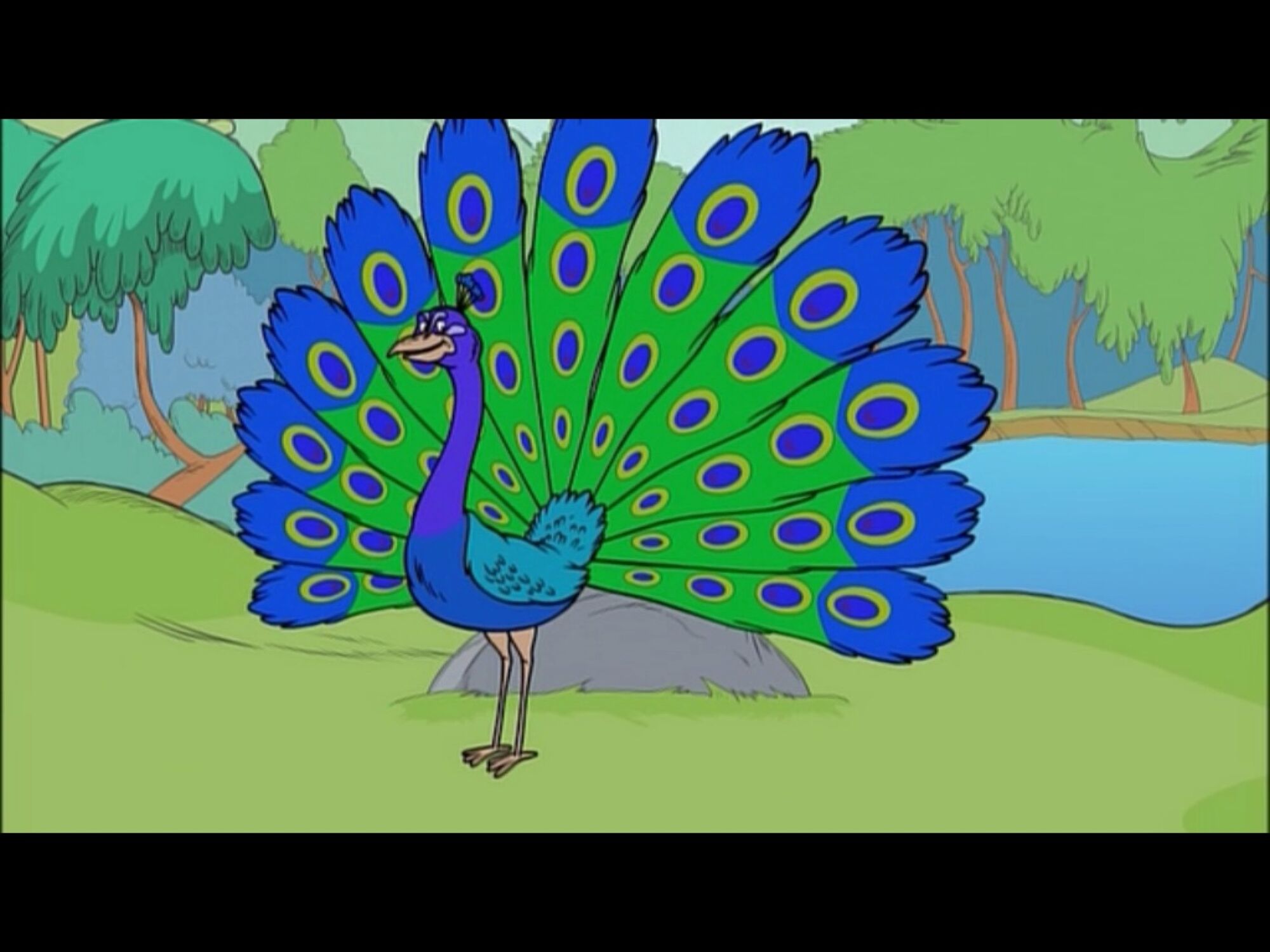 Peacock Dr Seuss Wiki Fandom Powered By Wikia