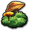 Mystic Woods icon