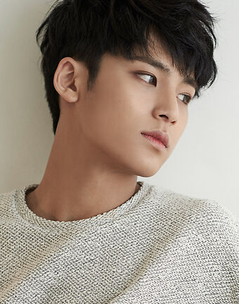MINGYU(ミンギュ) | SEVENTEEN(韓国) Wiki | Fandom