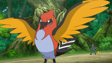 245