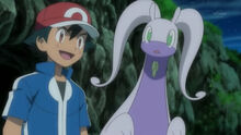 Goodra-Ash-1