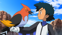 250px-Ash and Fletchinder