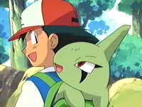 EP265 Larvitar (2)