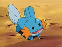 200px-Brock Mudkip