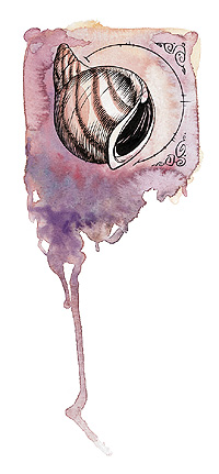 Aphrodite Symbol