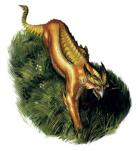 Phynxkin