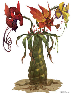 Tri-flower frond