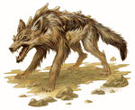 Animals7