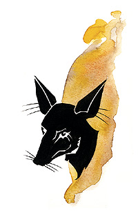 Anubis symbol