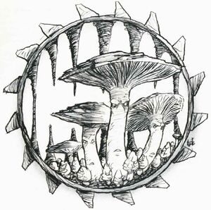 Mycelia