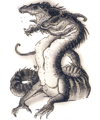 Dragldre