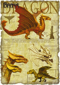 BrassDragon