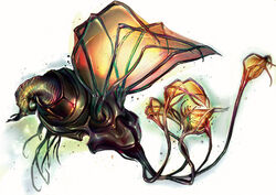 Trilloch