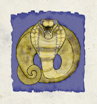 Seth symbol