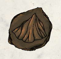 Gebsymbol