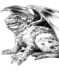 Amphi dragon
