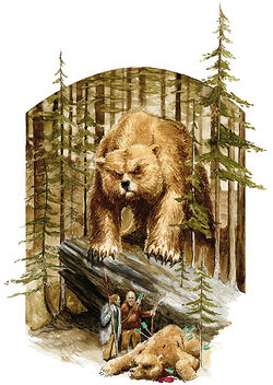Animals6